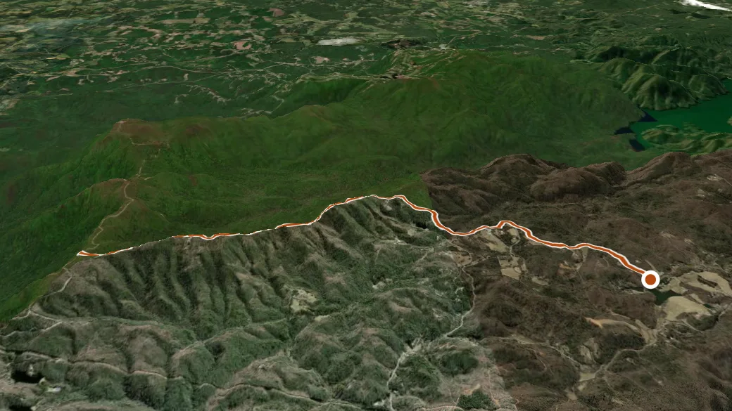 3-D terrain view of Palmetto Trail - Poinsett Reservoir Passage