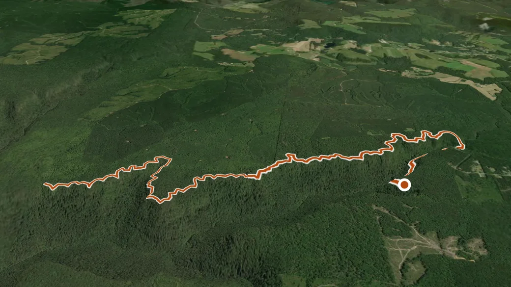 3-D terrain view of Collins Rim Trail