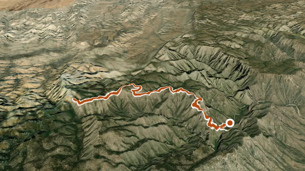 3-D terrain view of McKittrick Ridge Trail