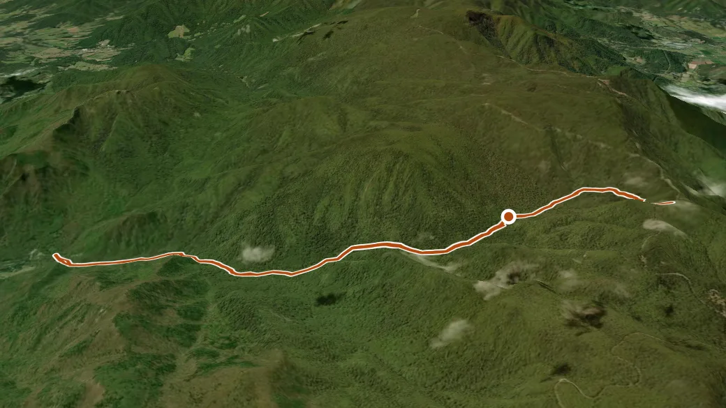 3-D terrain view of Nicholson Hollow Trail