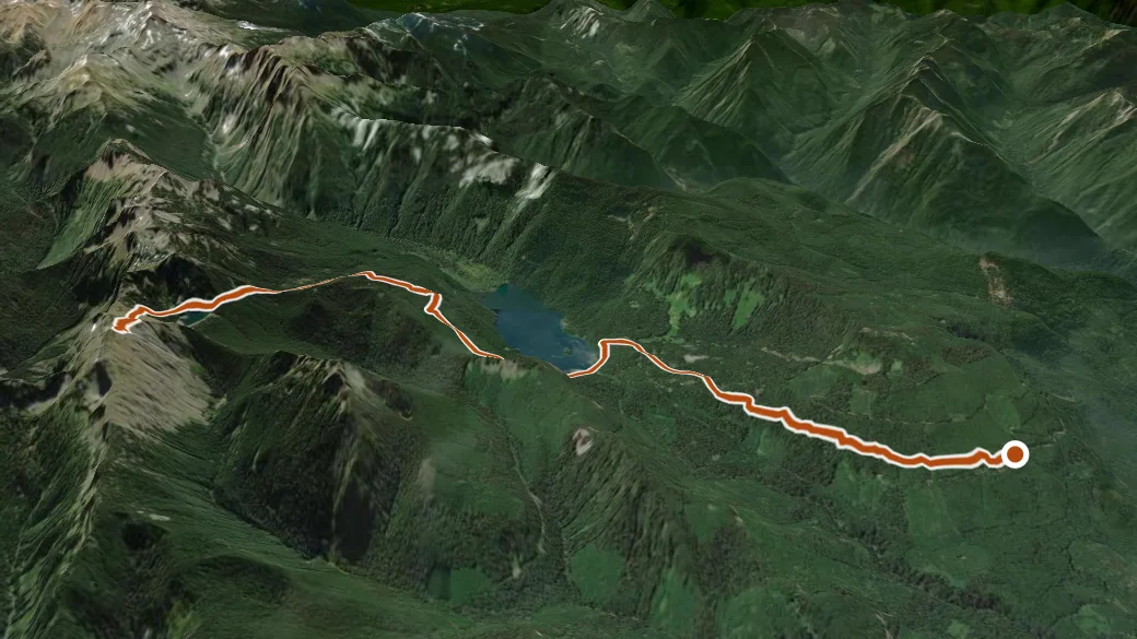 3-D terrain view of Packwood Lake