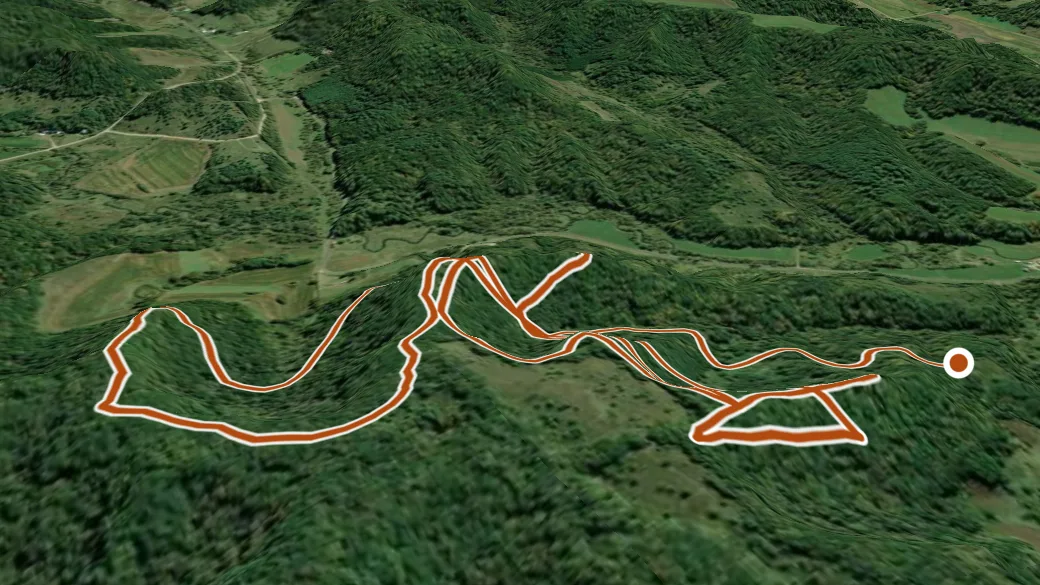 3-D terrain view of Purple Trail (Wildcat Mountain State Park)