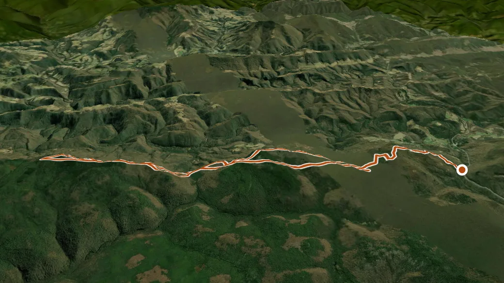 3-D terrain view of Shavers Mountain Trail